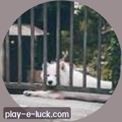 晓雯
